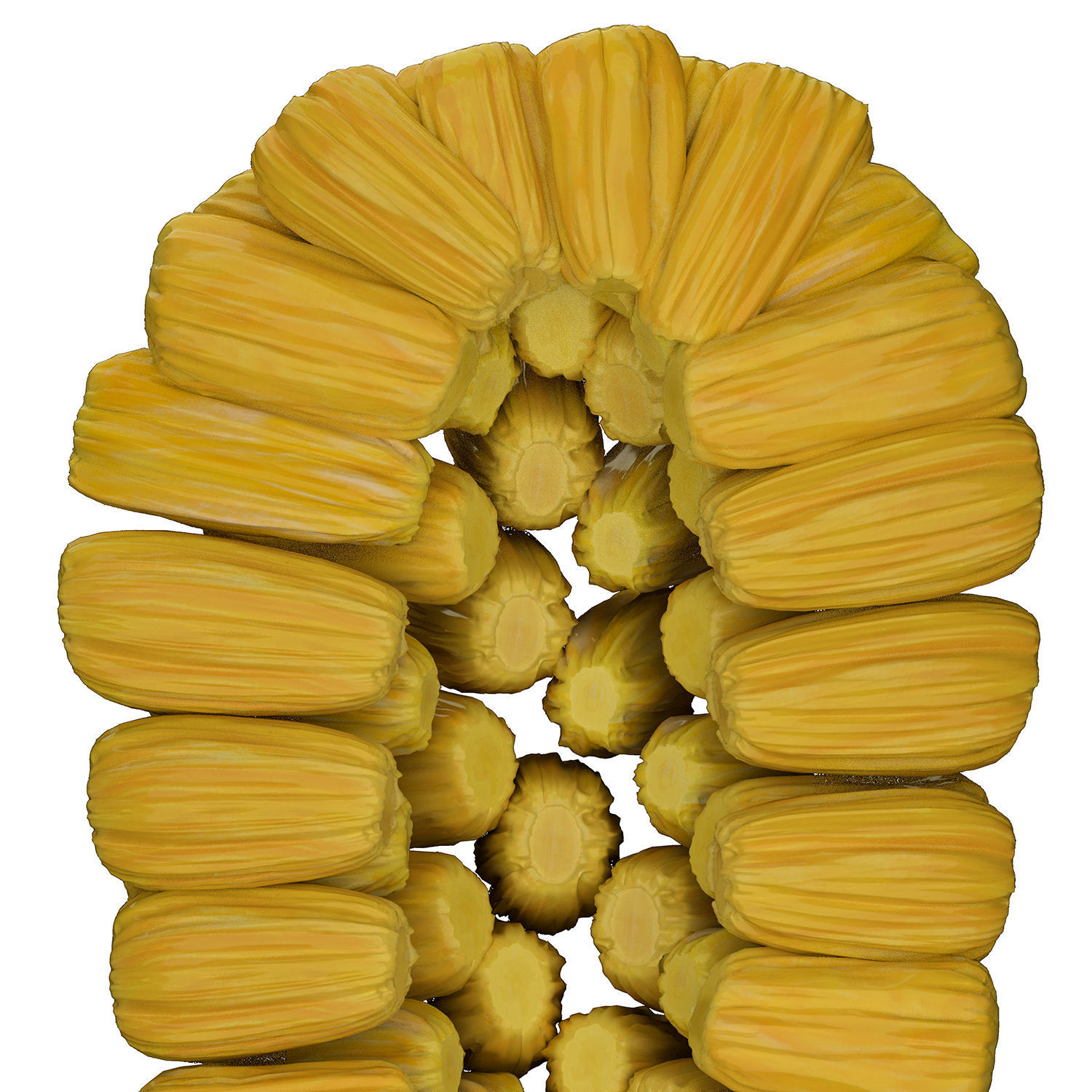 jackfruit 3D rigged model 3D model_20