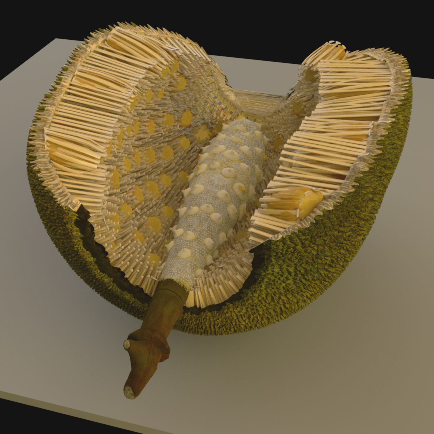 jackfruit 3D rigged model 3D model_7