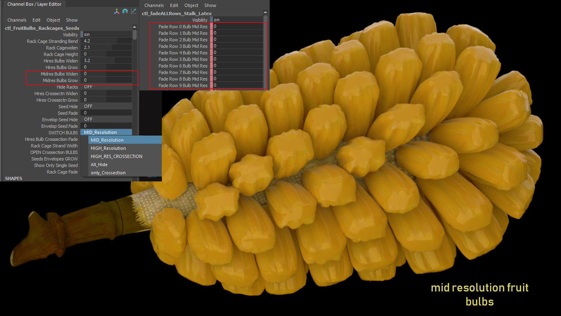 jackfruit 3D rigged model 3D model_25