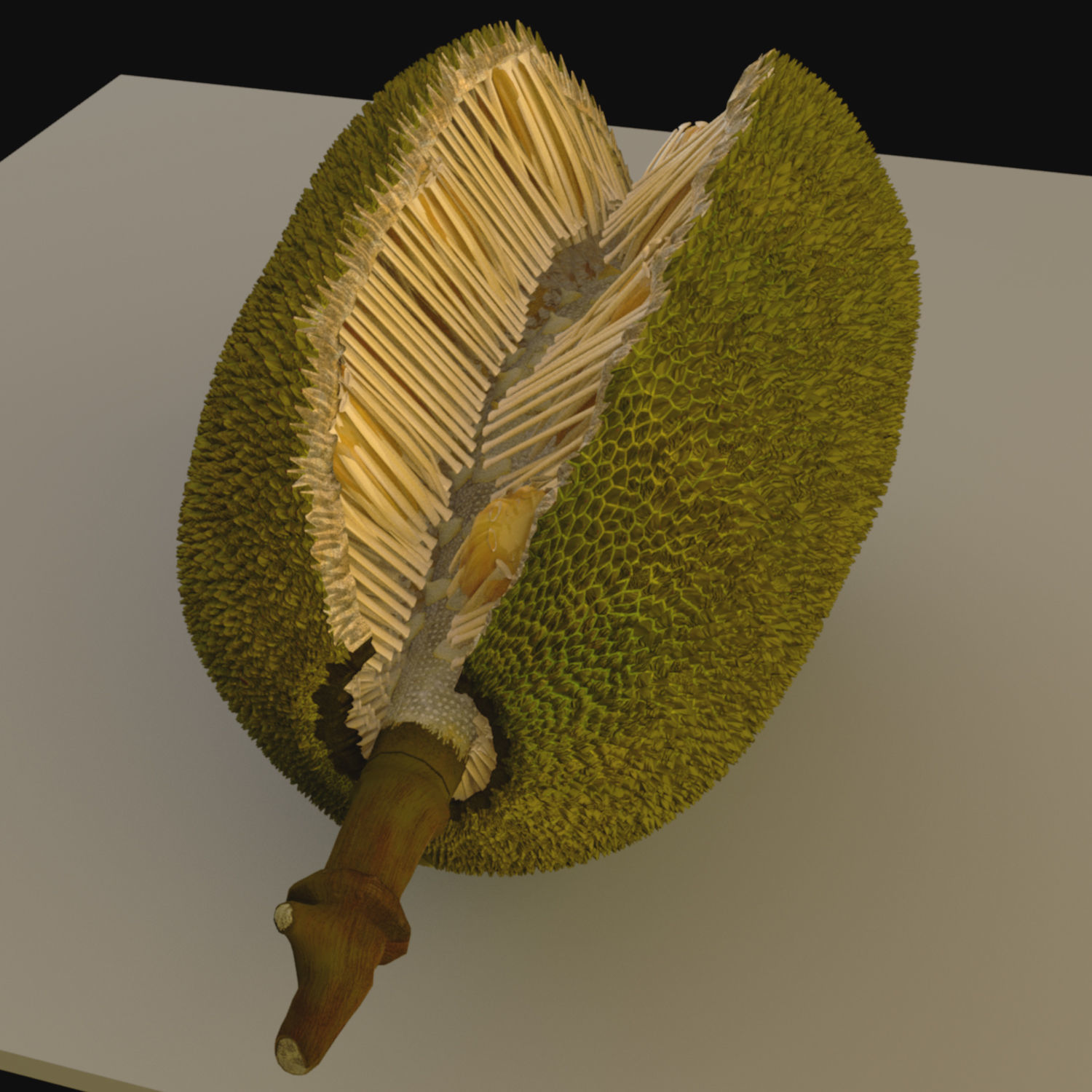 jackfruit 3D rigged model 3D model_5