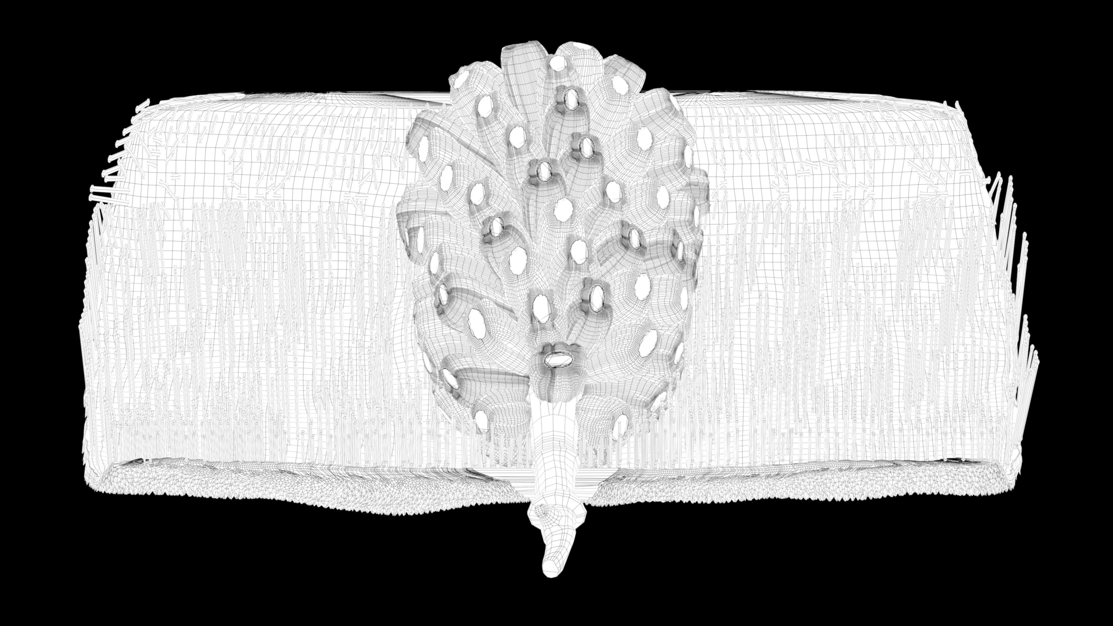 jackfruit 3D rigged model 3D model_54