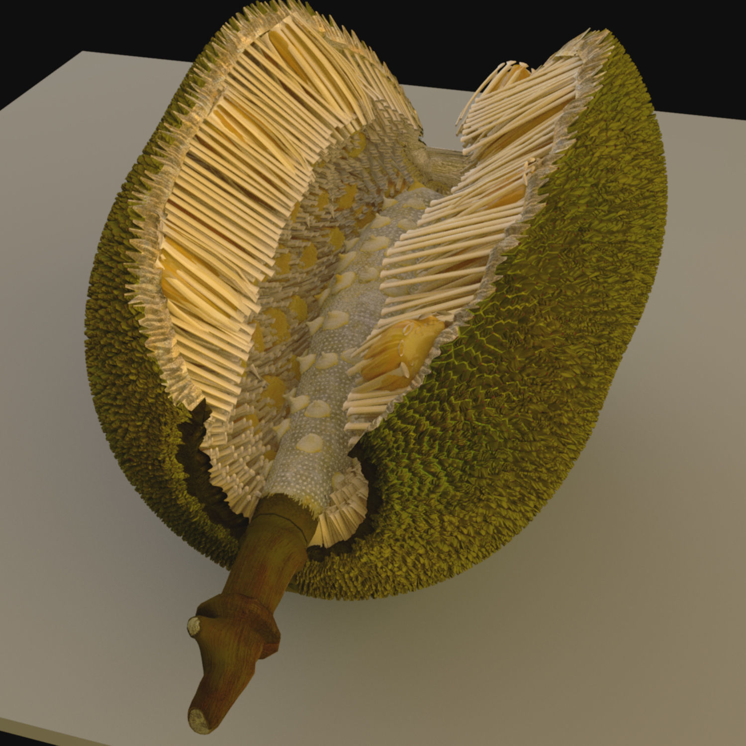 jackfruit 3D rigged model 3D model_6