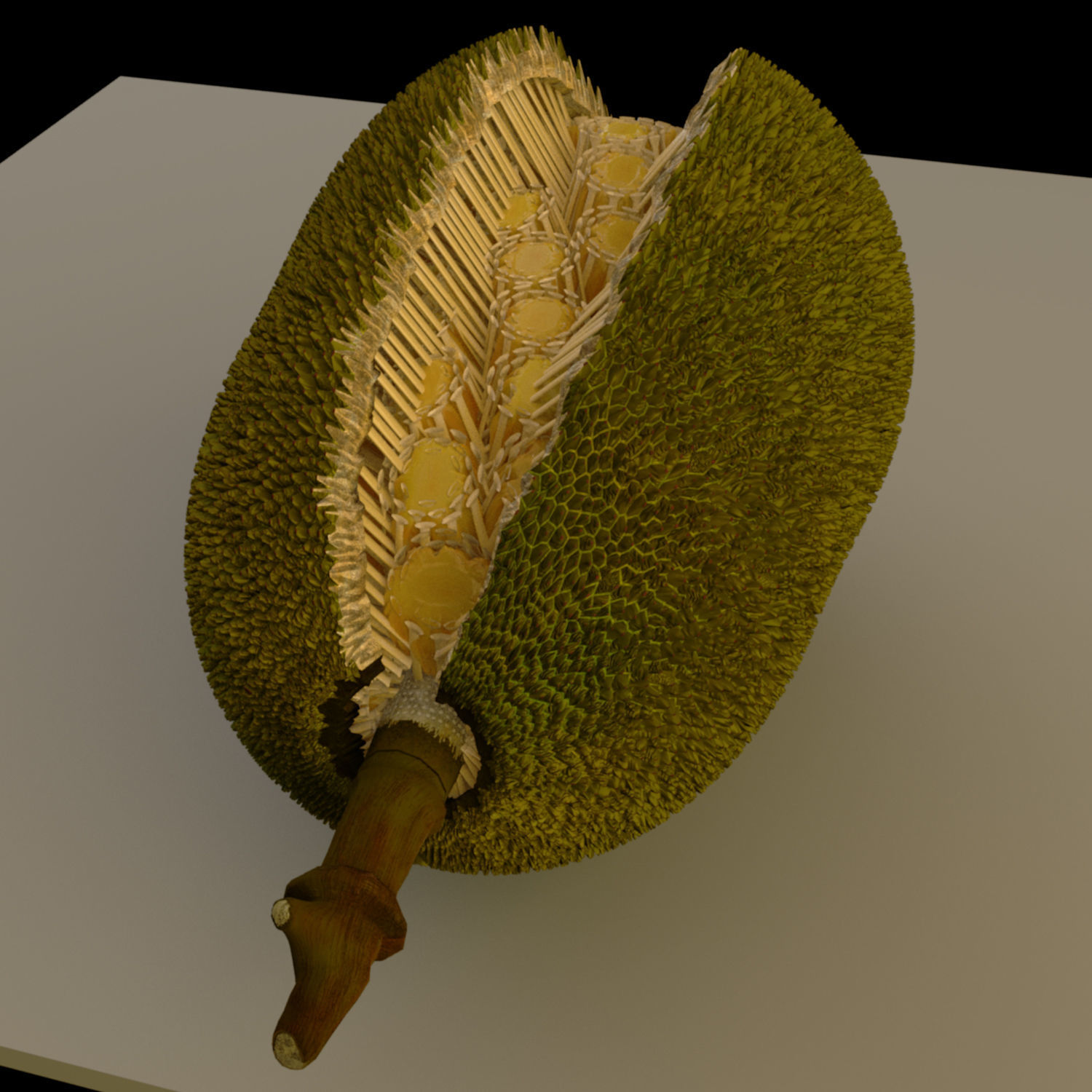 jackfruit 3D rigged model 3D model_13