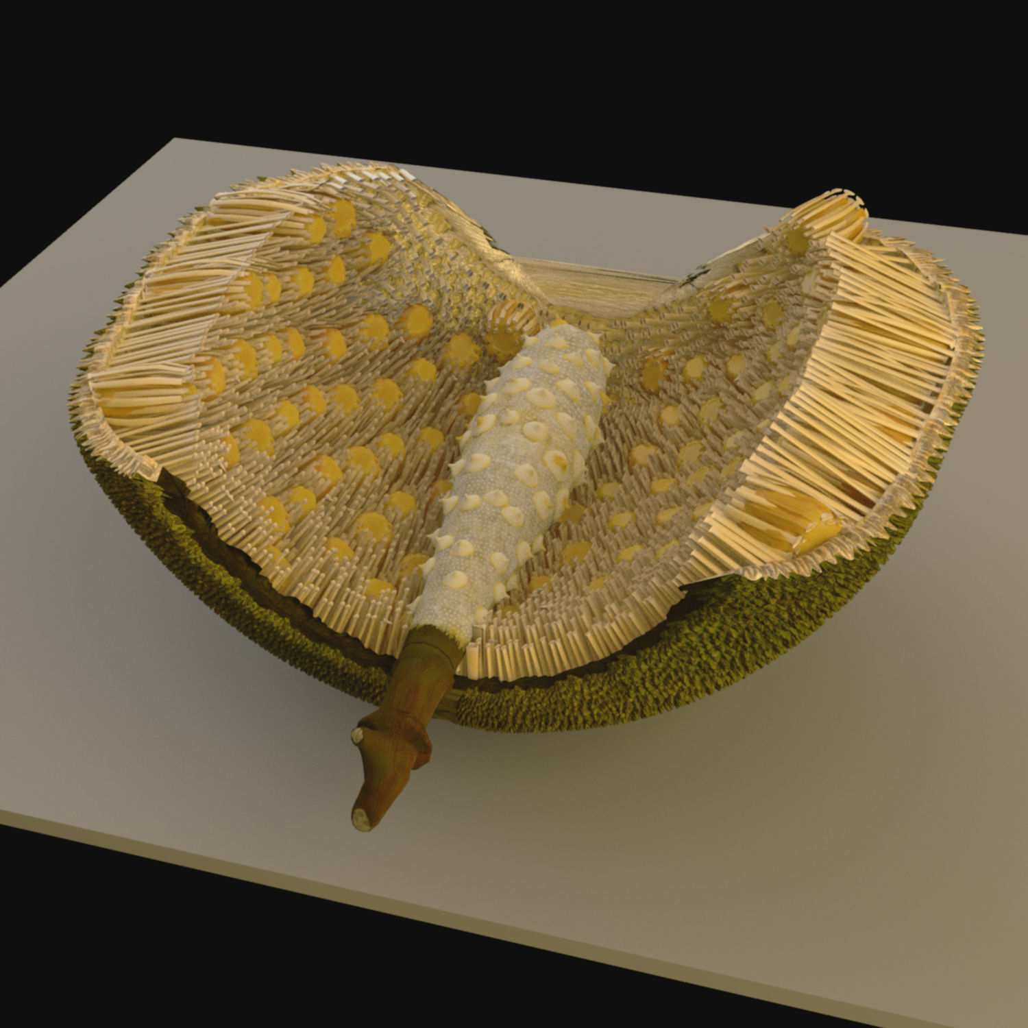 jackfruit 3D rigged model 3D model_8