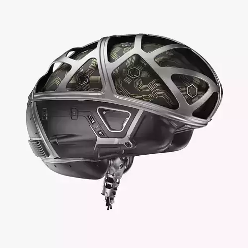Cyber Brain 3D model