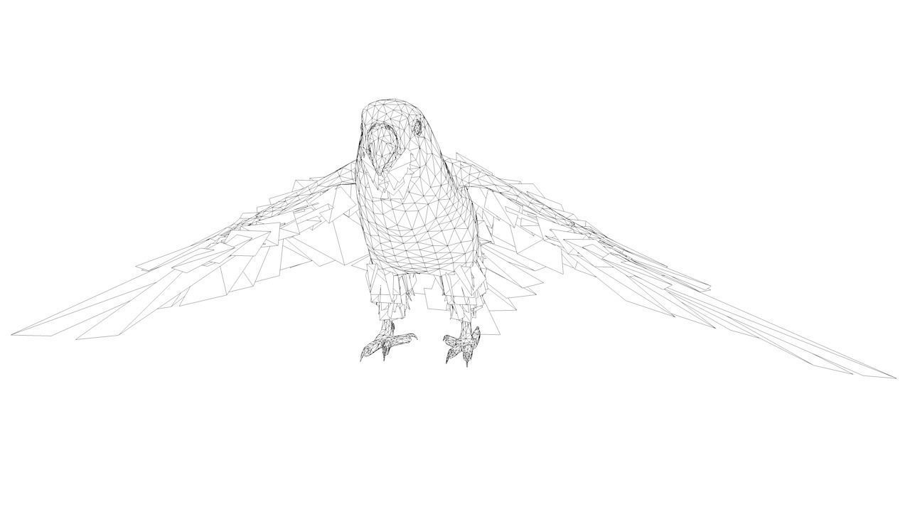 Parakeet Bird Low-poly 3D model_7