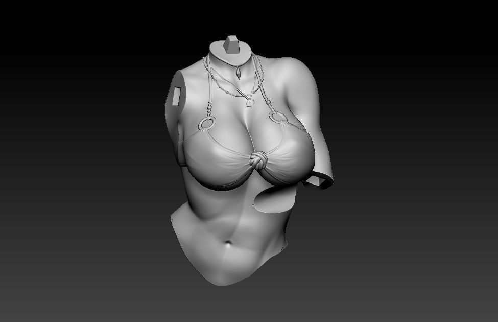 Princess Zelda on the beach 3D print model_32