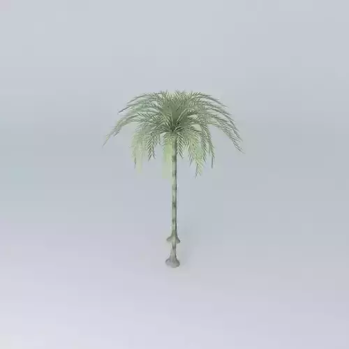 Palm trees in front of the sanctuary