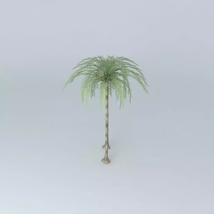 Palm trees in front of the sanctuary Free 3D model