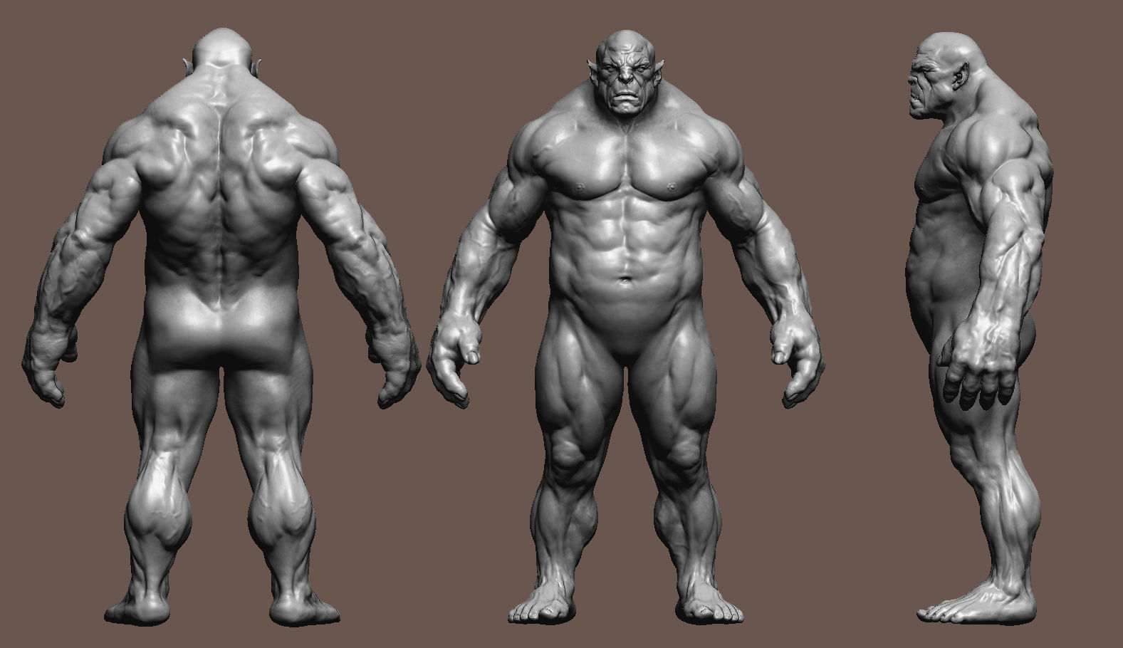 Orc Anatomy Study  Low-poly 3D model_13