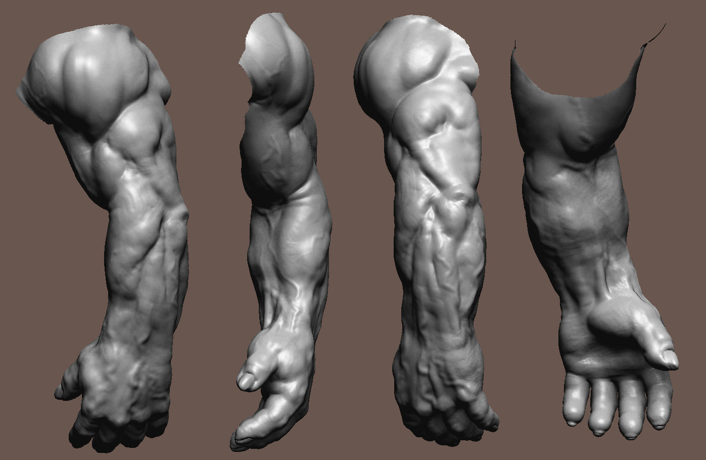 Orc Anatomy Study  Low-poly 3D model_4