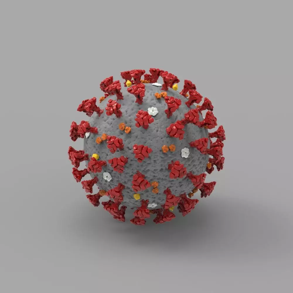 Coronavirus ball 3D model_0