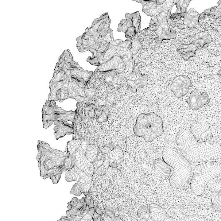 Coronavirus ball 3D model_4