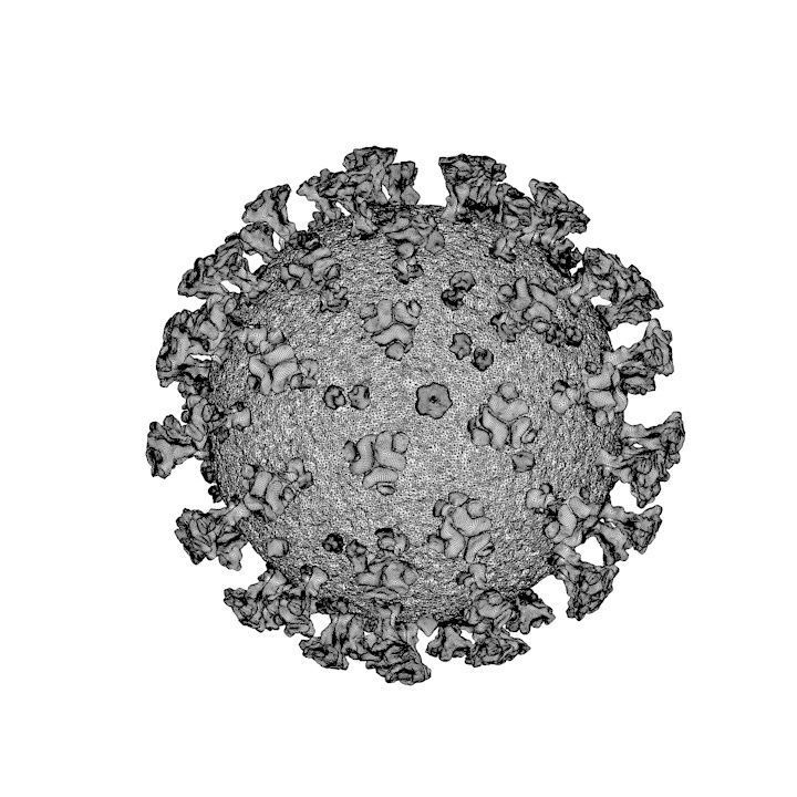 Coronavirus ball 3D model_3