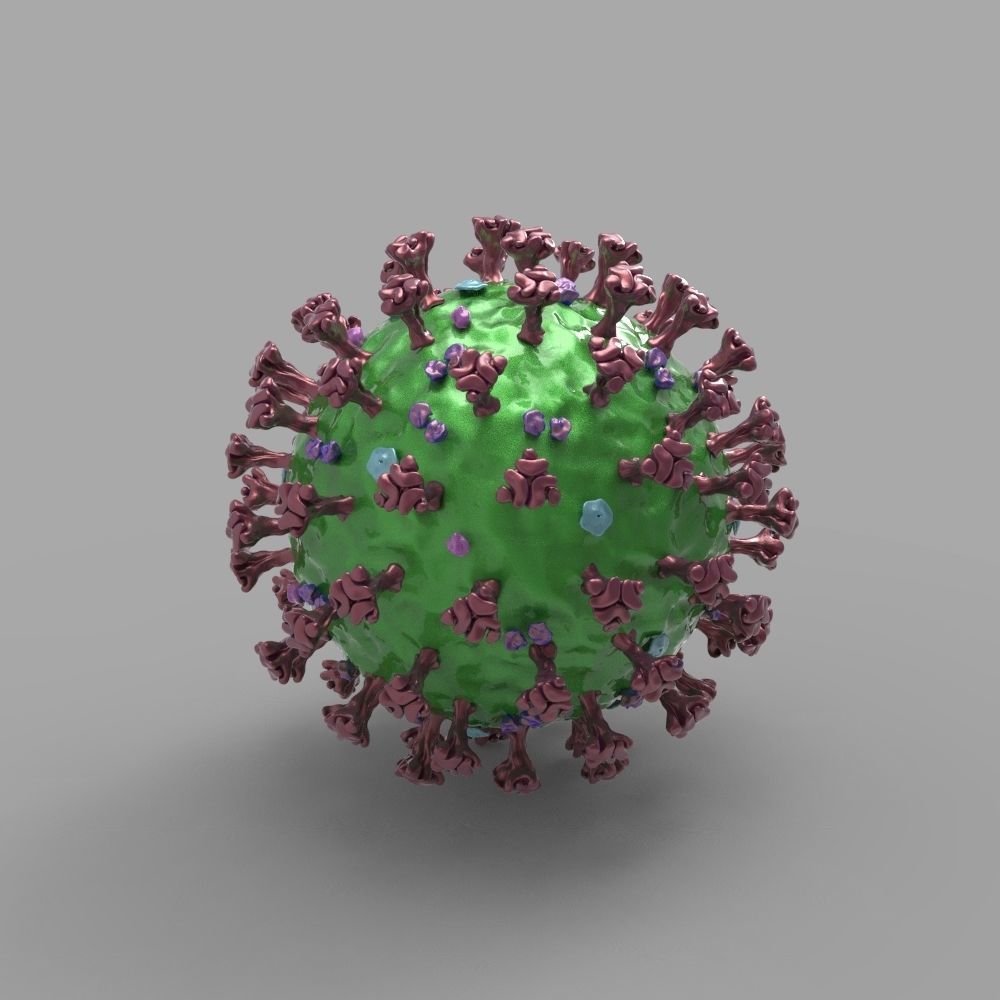 Coronavirus ball 3D model_1