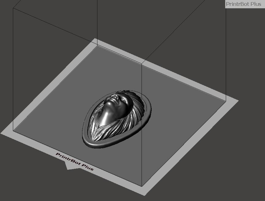 Woman Face 3d Model 3D print model_10