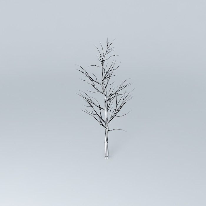 Tree with no leaves Free 3D model_3