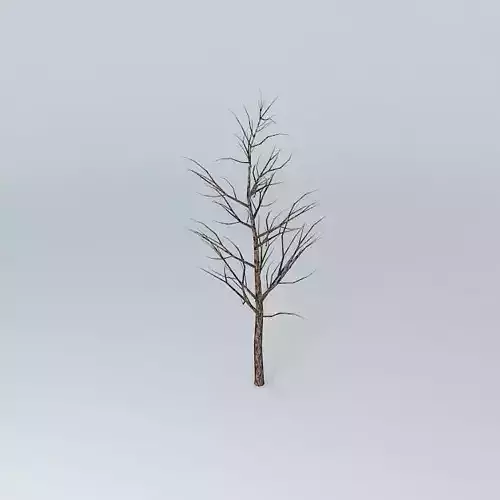 Tree with no leaves Free 3D model