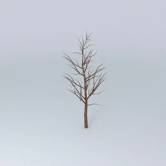 Tree with no leaves Free 3D model_0