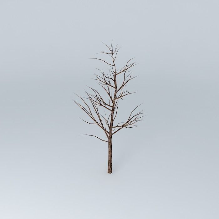 Tree with no leaves Free 3D model_2