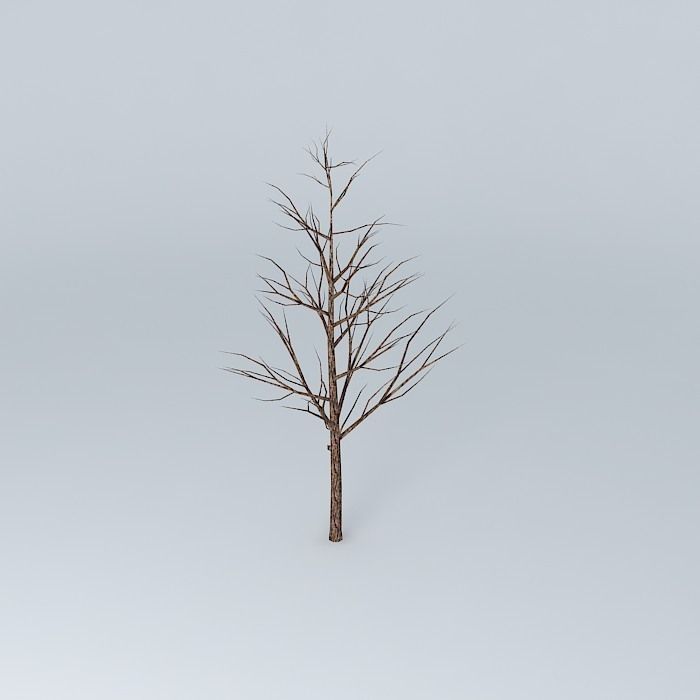 Tree with no leaves Free 3D model_1