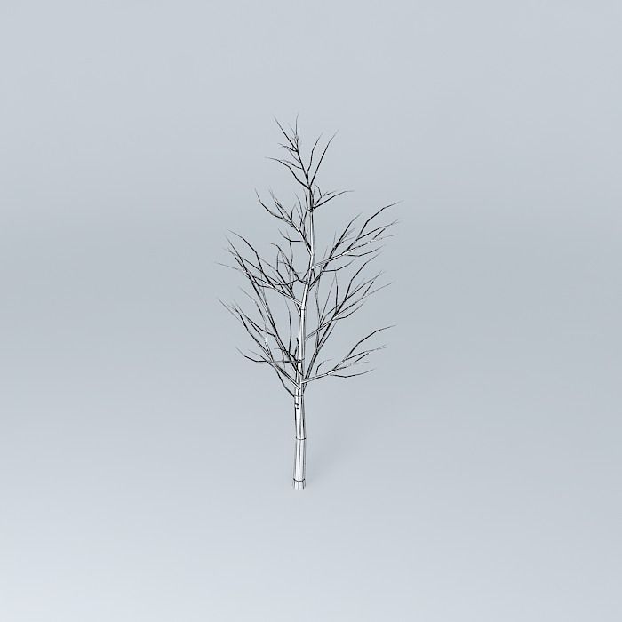 Tree with no leaves Free 3D model_4