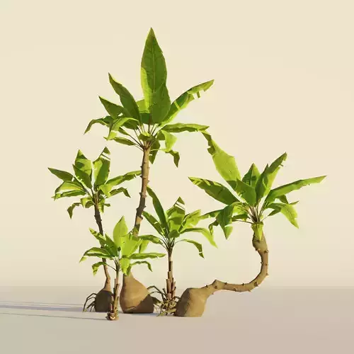 Palm tree set Cartoon Stylized Hand painted Low-poly 3D model