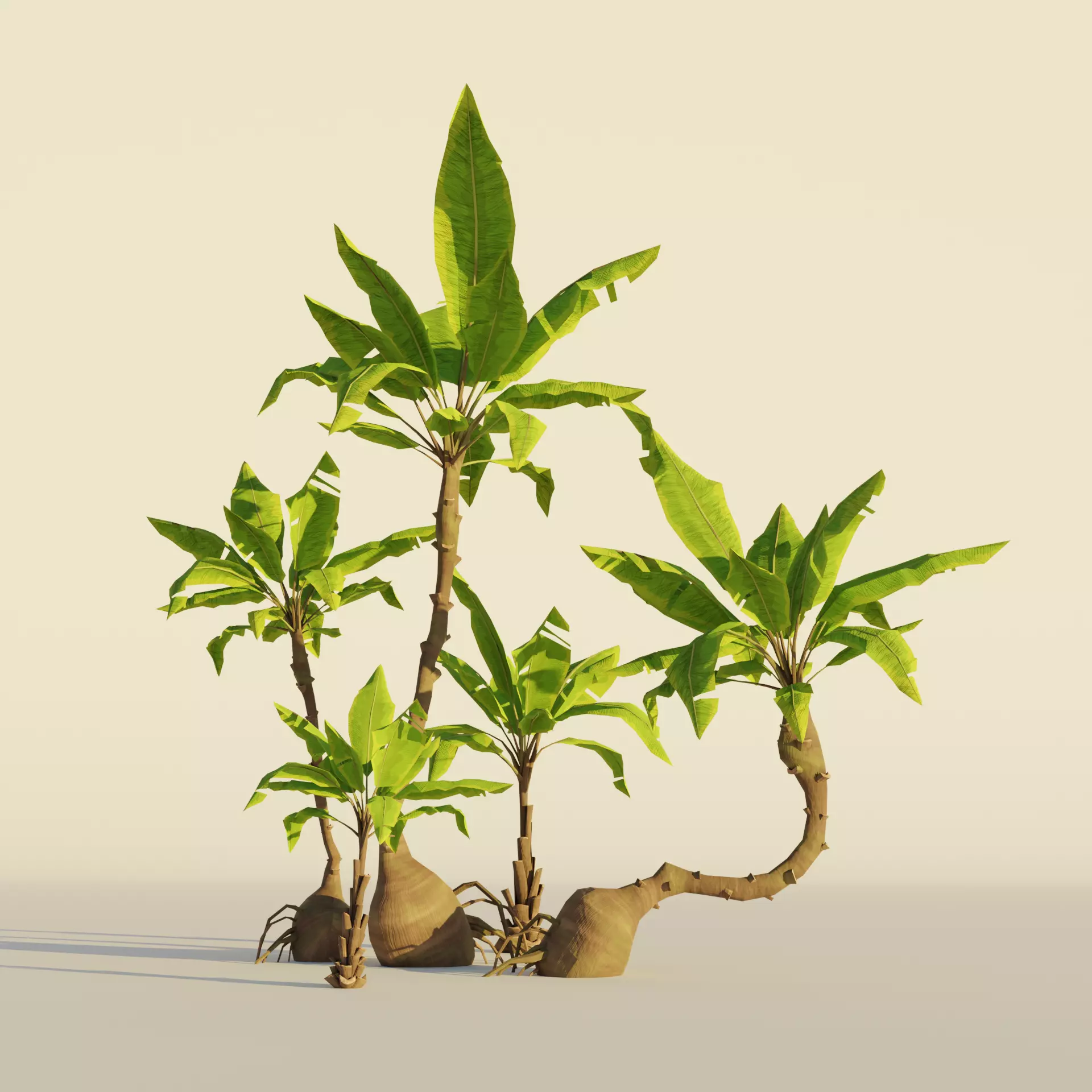 Palm tree set Cartoon Stylized Hand painted Low-poly 3D model