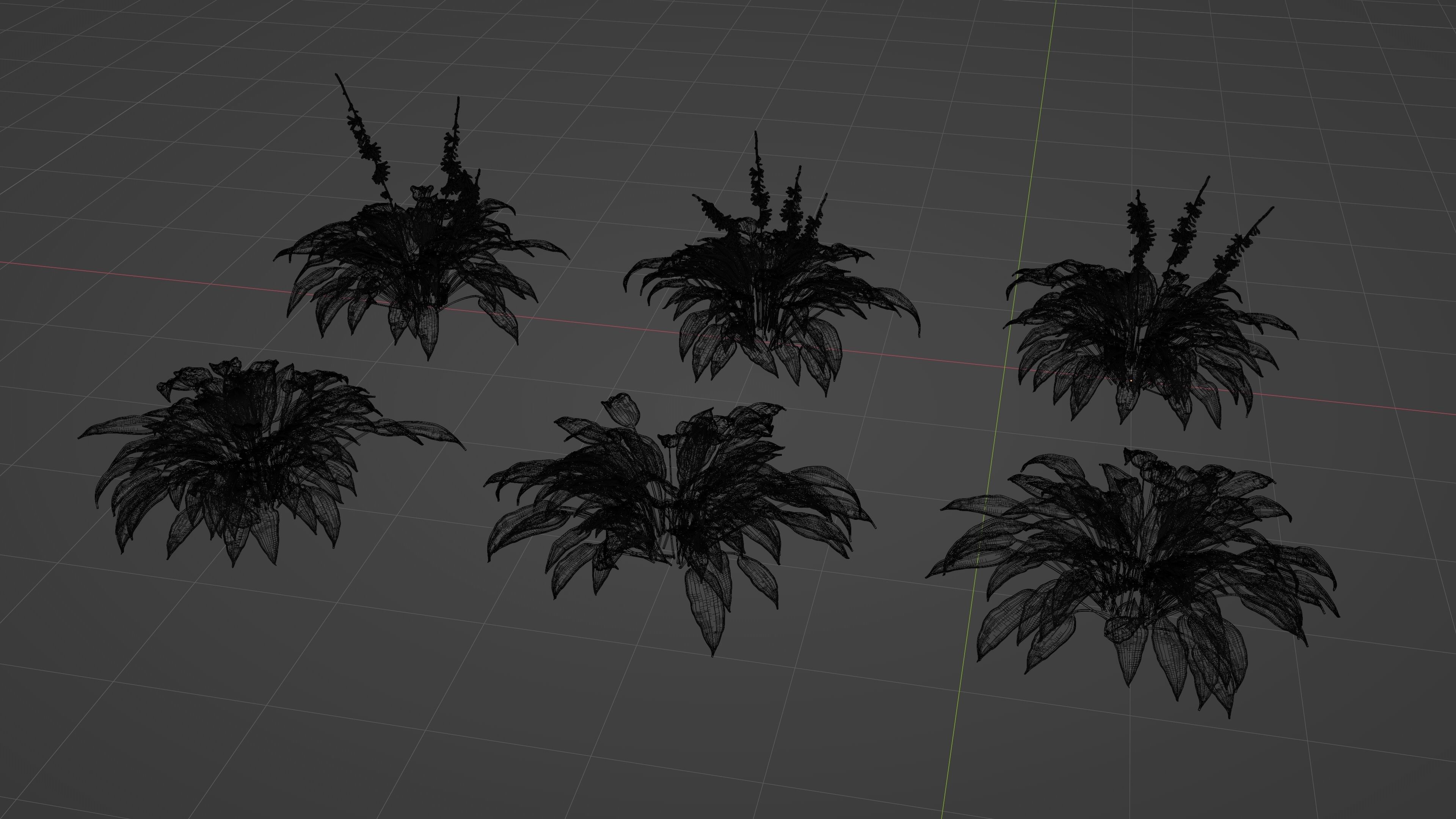 Hostas Plant - High Fidelity Asset with Individual Elements 3D model_3