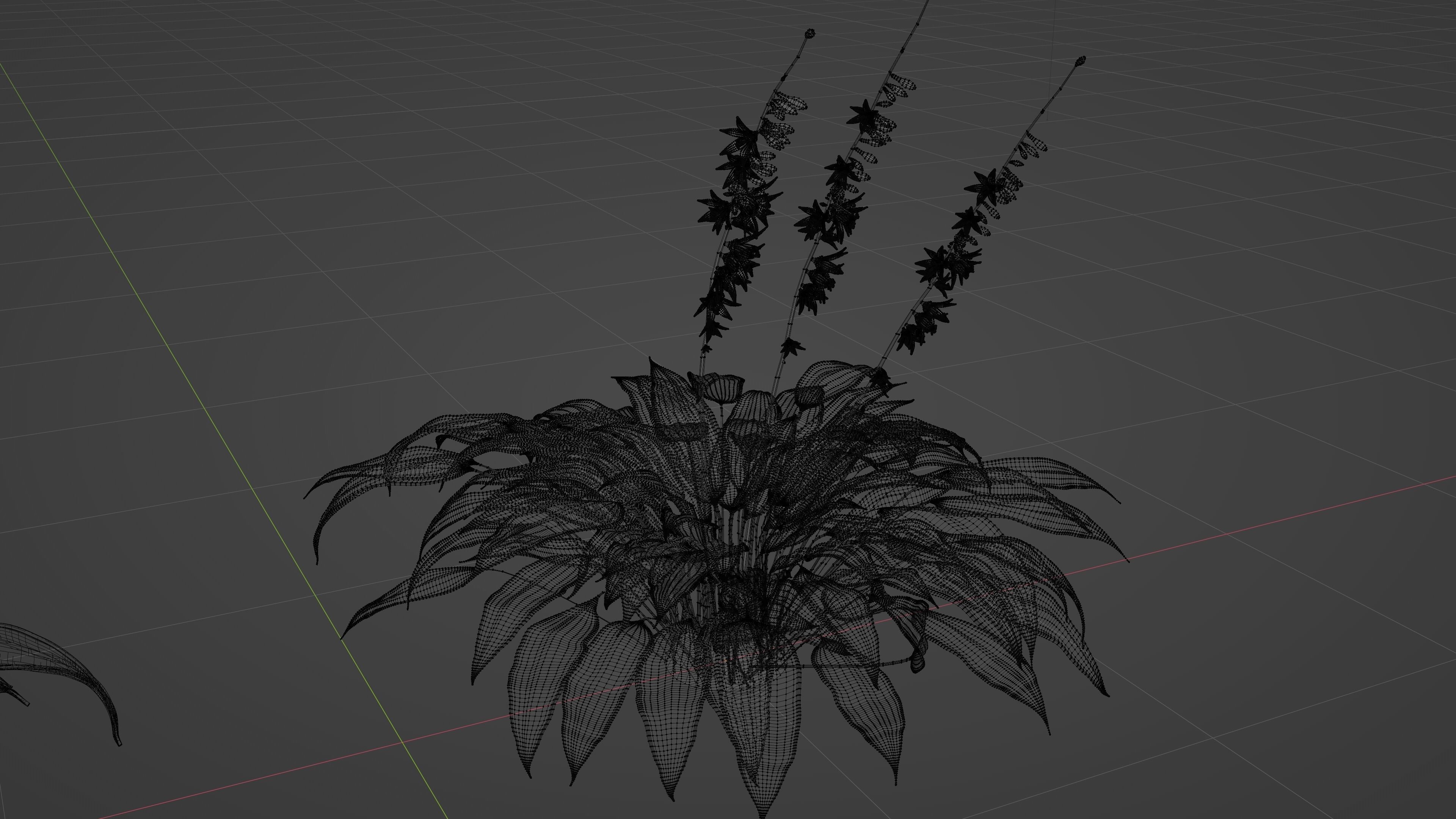 Hostas Plant - High Fidelity Asset with Individual Elements 3D model_4