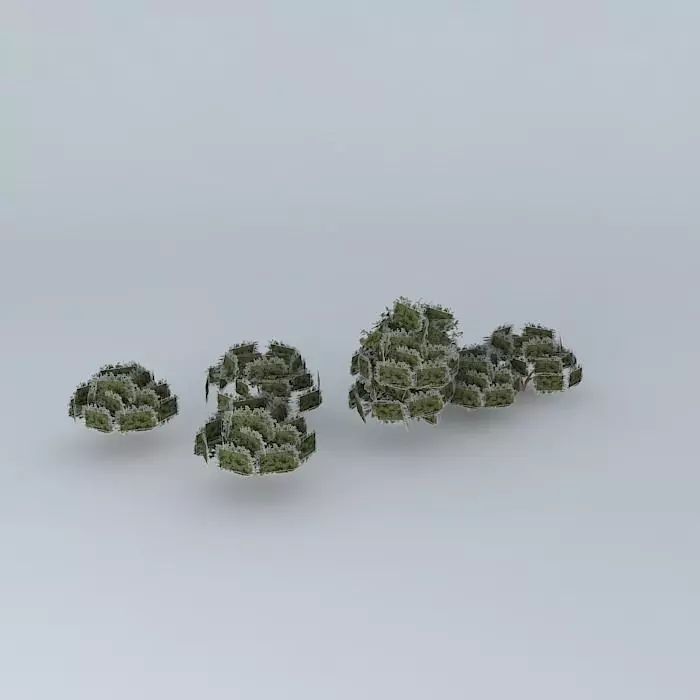 Trees street Andes Free 3D model_0