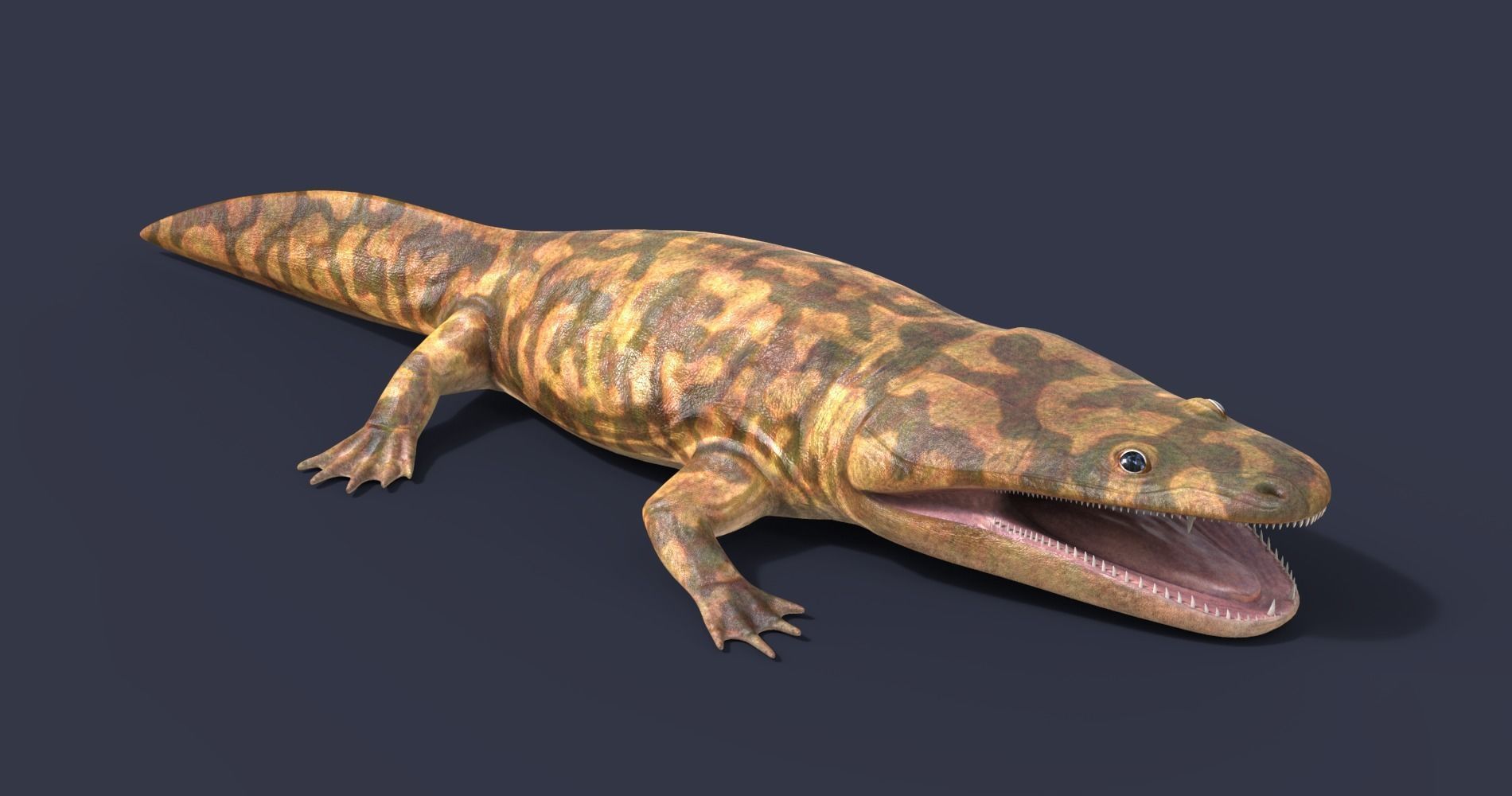 Metoposaurus alligator 3D model_2