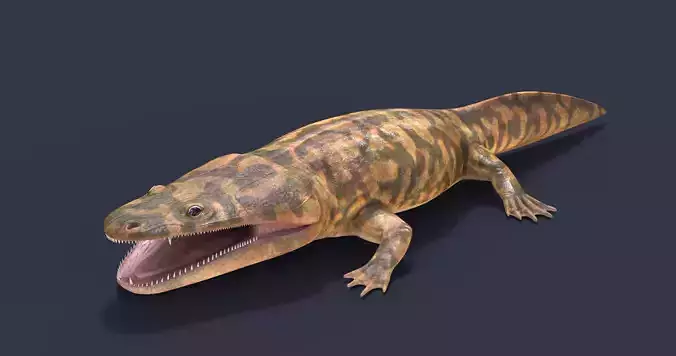 Metoposaurus alligator