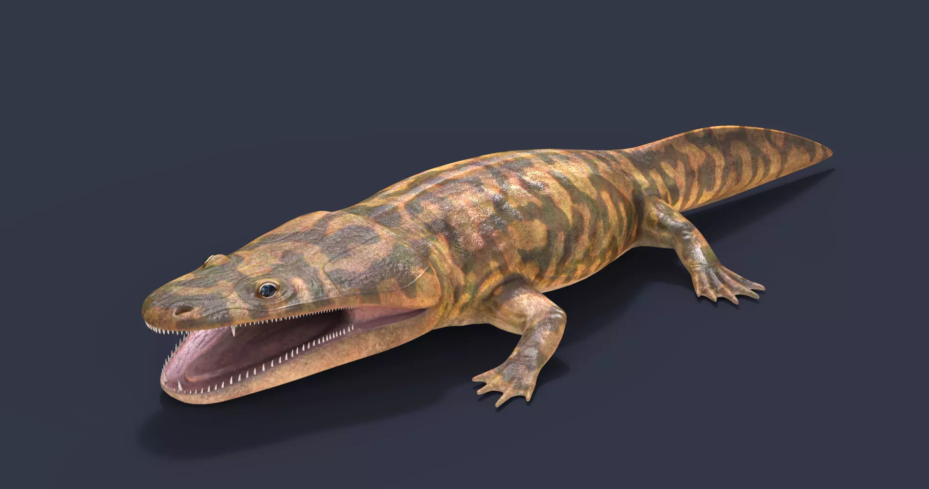 Metoposaurus alligator 3D model_0