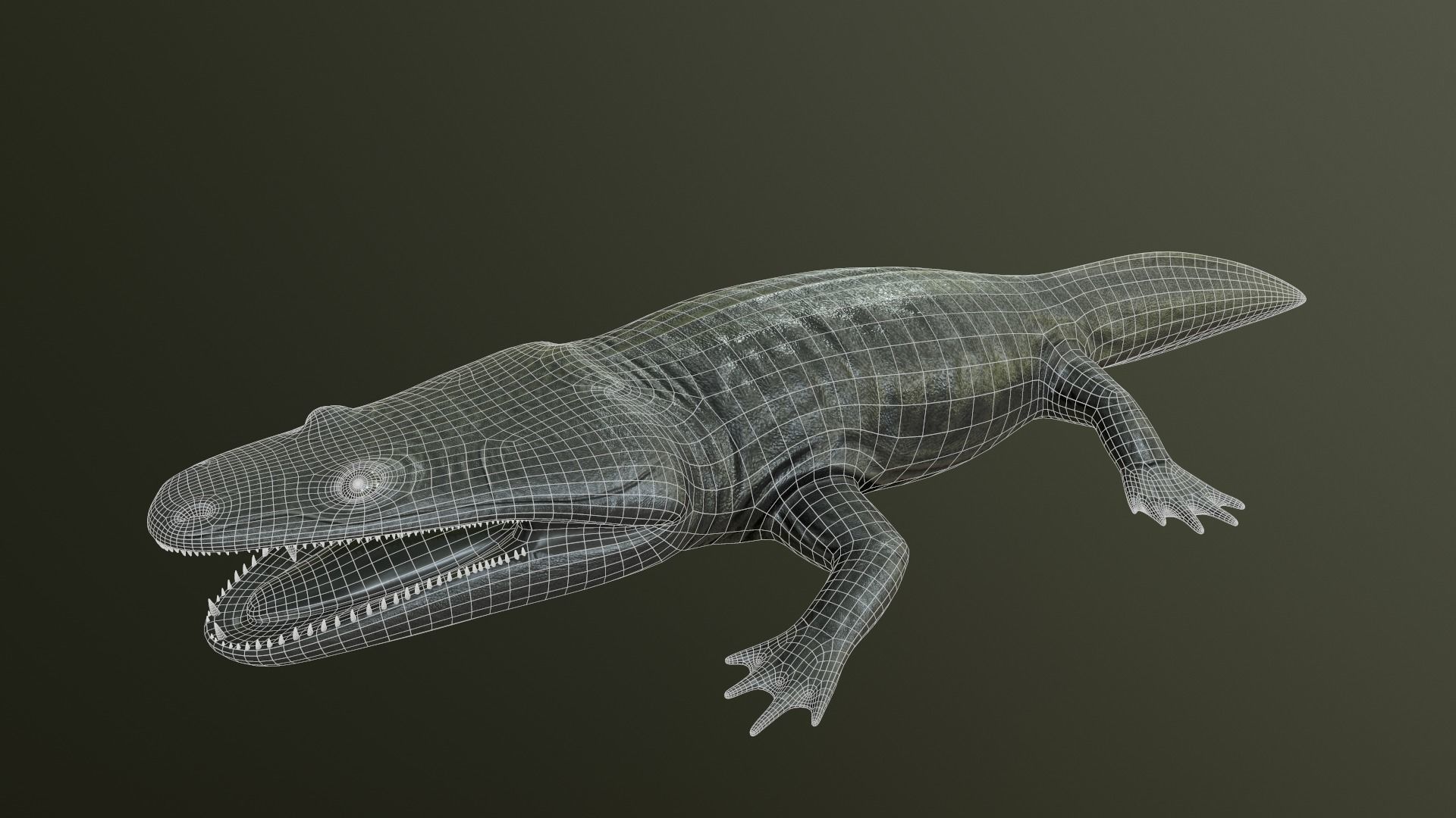 Metoposaurus alligator 3D model_5