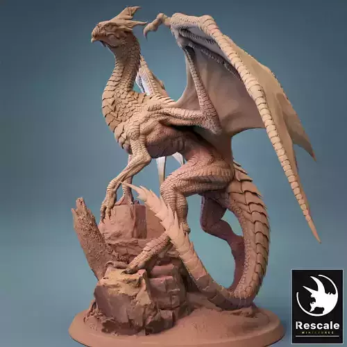 Young White Dragon 3D print model