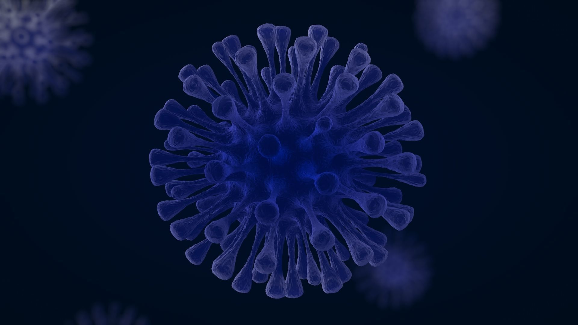 Virus 3D model_4