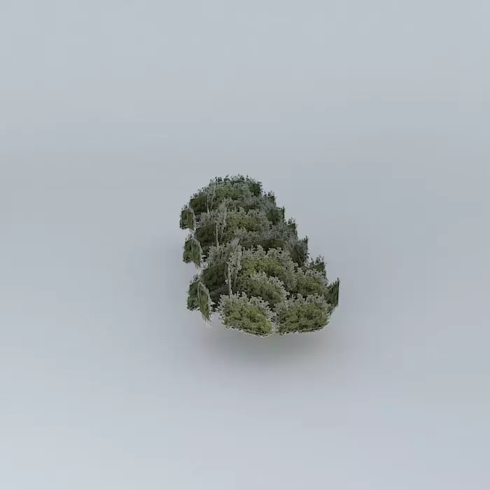 Tree parking Free 3D model_0