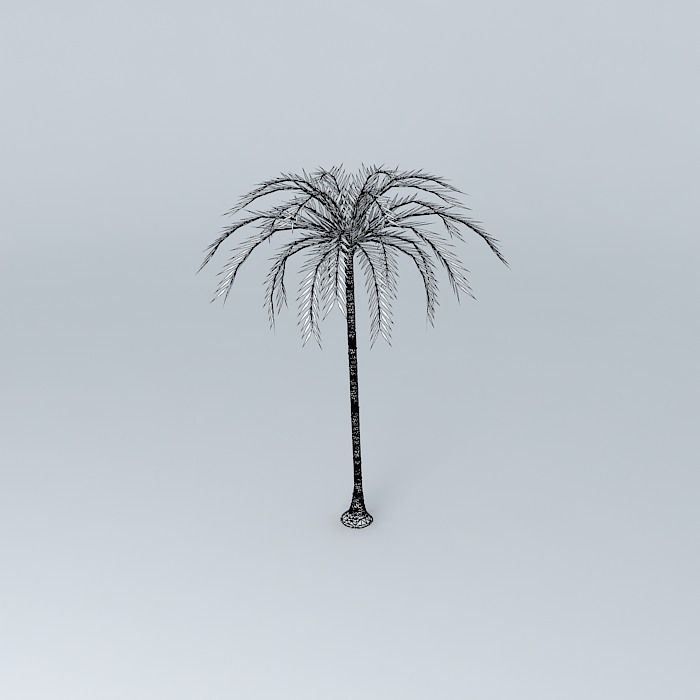 Coconut tree Free 3D model_3