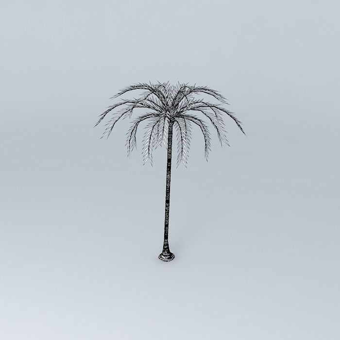 Coconut tree Free 3D model_4