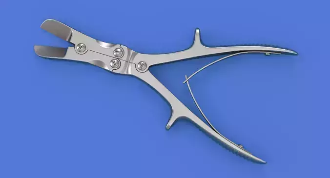 Straight Bone Cutter 3D model