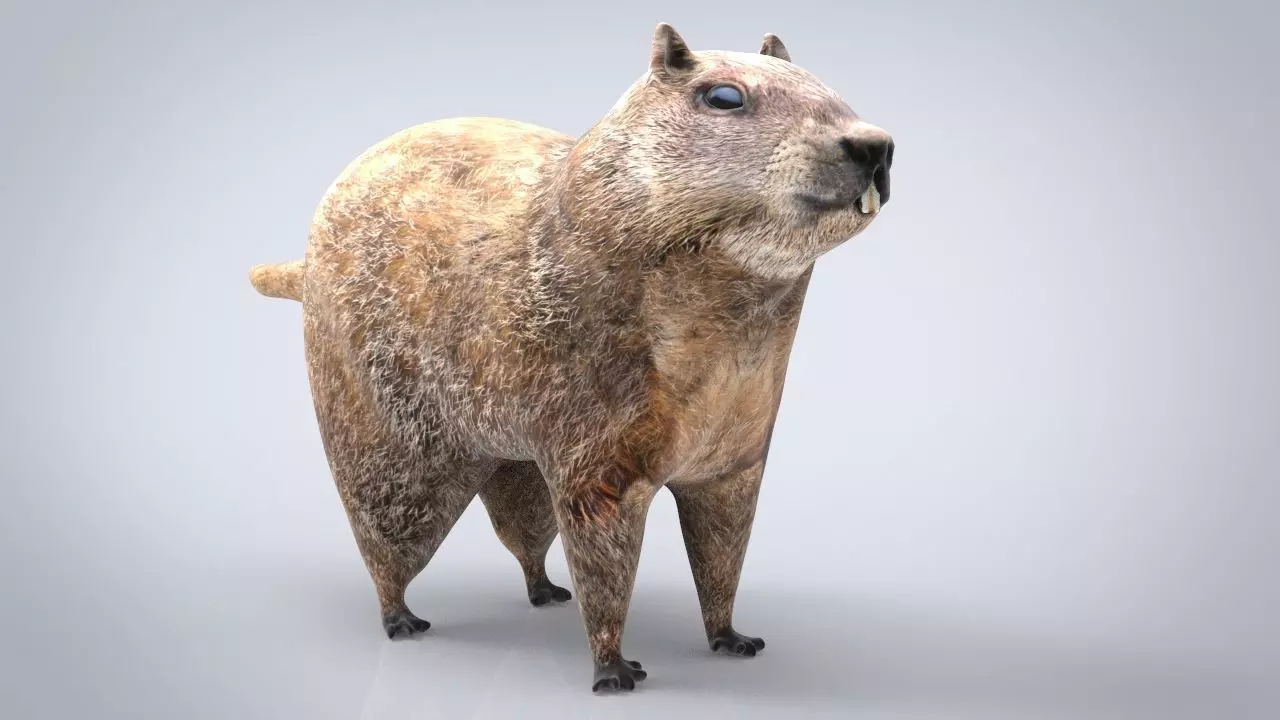 GROUNDHOG Low-poly 3D model
