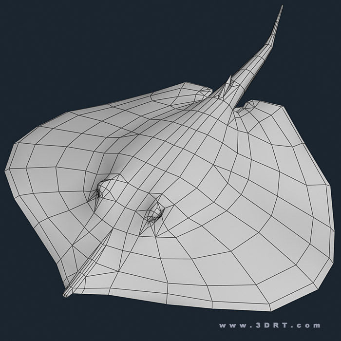 3DRT - Sealife - Stingray Low-poly 3D model_2