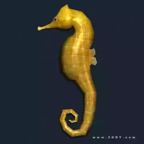 3DRT - Sealife - Seahorse Low-poly 3D model