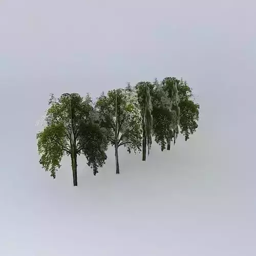 Small trees