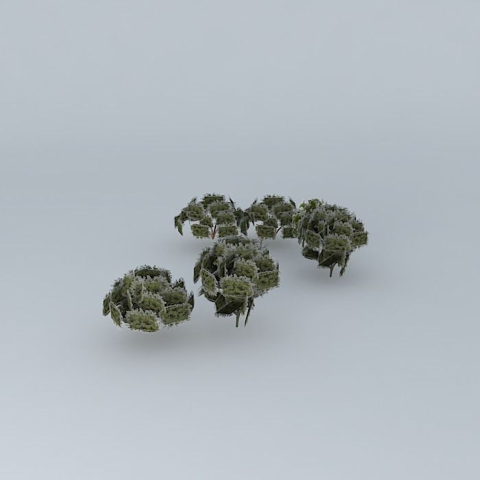 Trees of Mane Garrincha Stadium Free 3D model_2