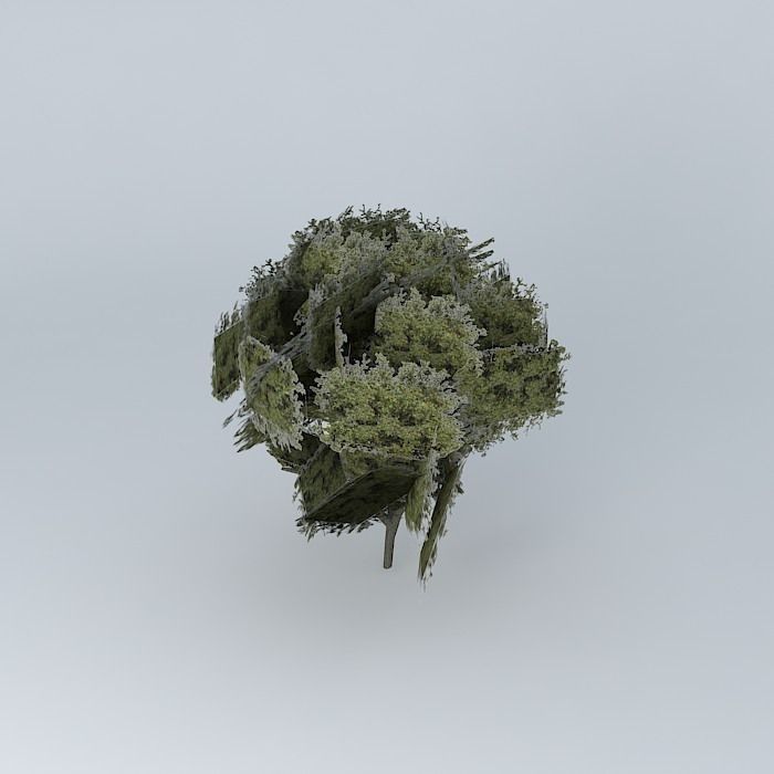 Tree of col. Mother of God. Free 3D model_2