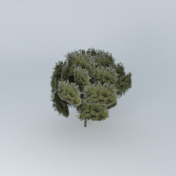 Tree of col. Mother of God. Free 3D model_1