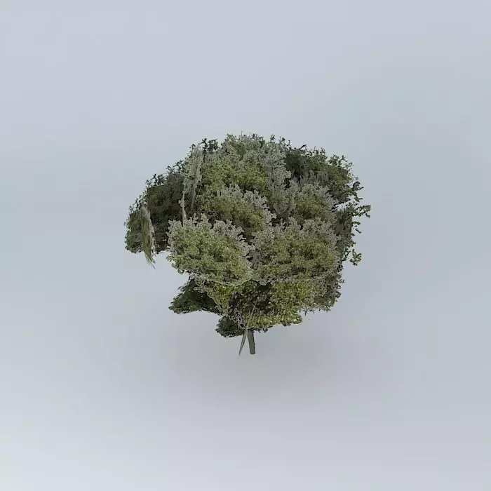 Tree of col. Mother of God. Free 3D model_0