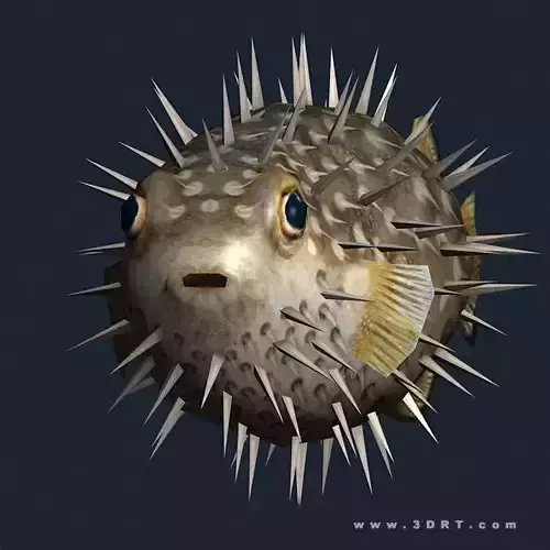 3DRT - Sealife -  Puffer fish Low-poly 3D model